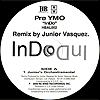 InDo (Pre YMO)/Junior Vasquez